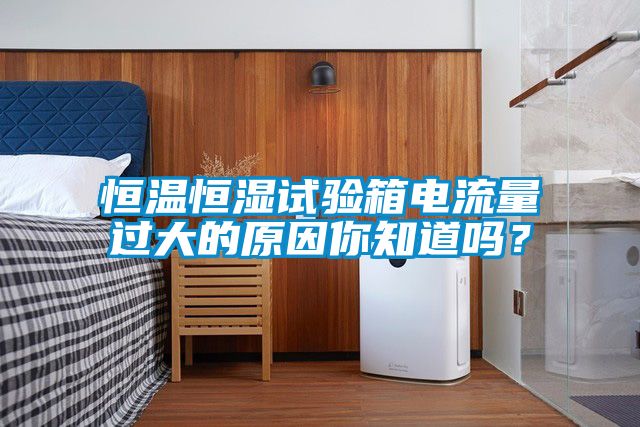 恒溫恒濕試驗(yàn)箱電流量過大的原因你知道嗎？