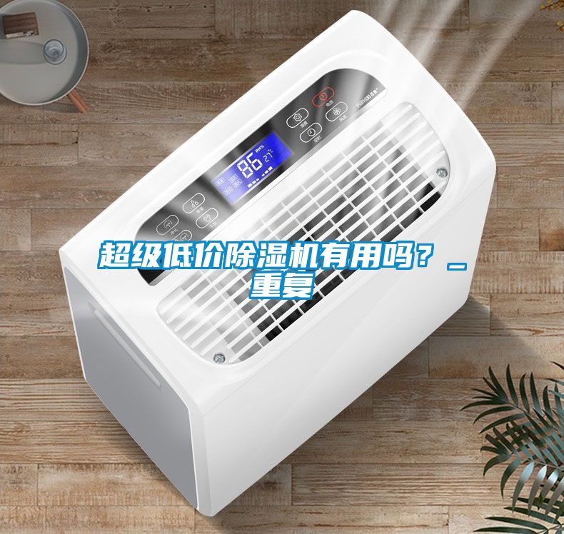 超級(jí)低價(jià)除濕機(jī)有用嗎？_重復(fù)