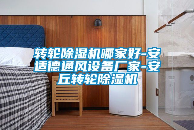 轉(zhuǎn)輪除濕機(jī)哪家好-安適德通風(fēng)設(shè)備廠(chǎng)家-安丘轉(zhuǎn)輪除濕機(jī)