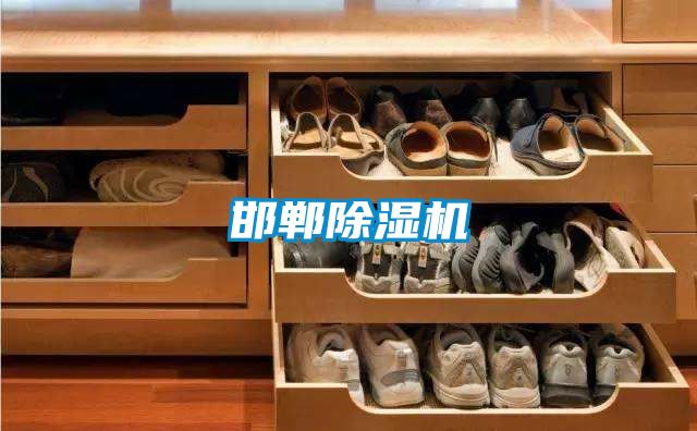 邯鄲除濕機(jī)