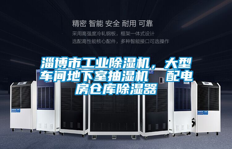 淄博市工業(yè)除濕機(jī)，大型車間地下室抽濕機(jī)  配電房倉(cāng)庫(kù)除濕器