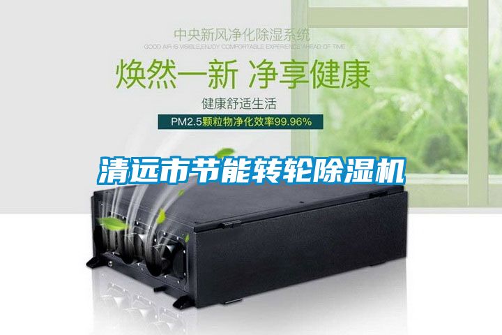 清遠(yuǎn)市節(jié)能轉(zhuǎn)輪除濕機