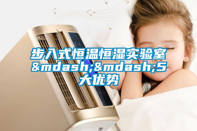 步入式恒溫恒濕實(shí)驗(yàn)室——5大優(yōu)勢(shì)