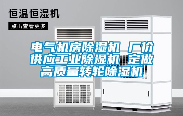 電氣機房除濕機 廠價供應(yīng)工業(yè)除濕機 定做高質(zhì)量轉(zhuǎn)輪除濕機