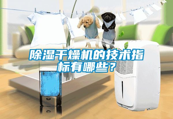 除濕干燥機(jī)的技術(shù)指標(biāo)有哪些？