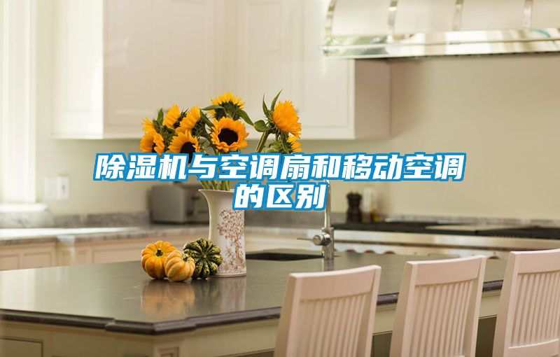 除濕機(jī)與空調(diào)扇和移動空調(diào)的區(qū)別