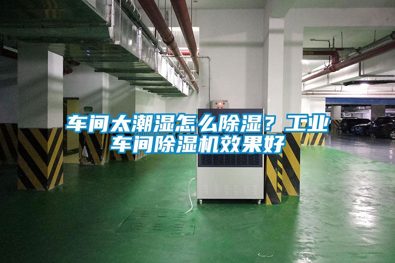 車間太潮濕怎么除濕？工業(yè)車間除濕機效果好