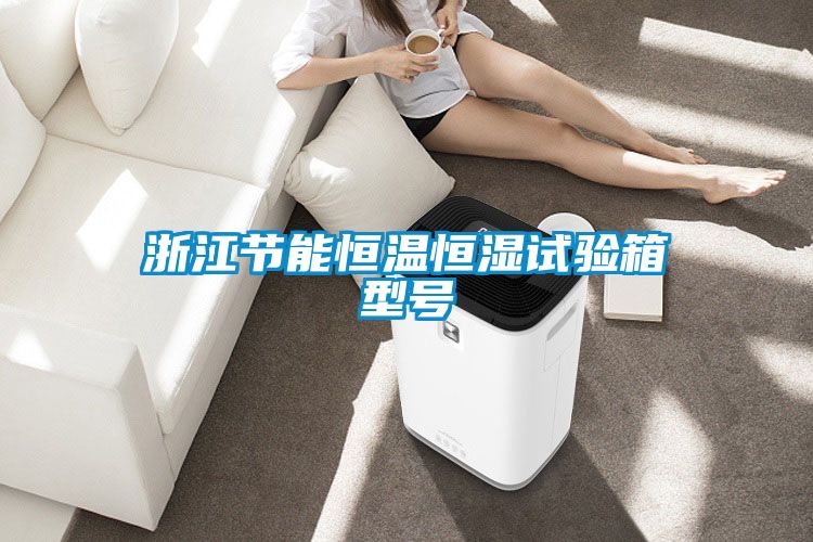 浙江節(jié)能恒溫恒濕試驗(yàn)箱型號