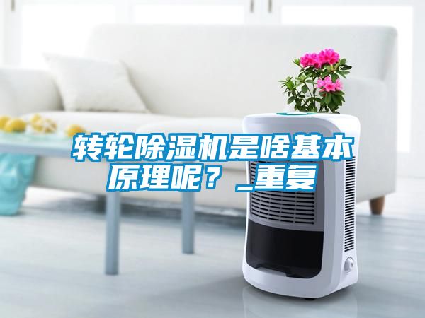 轉(zhuǎn)輪除濕機(jī)是啥基本原理呢？_重復(fù)