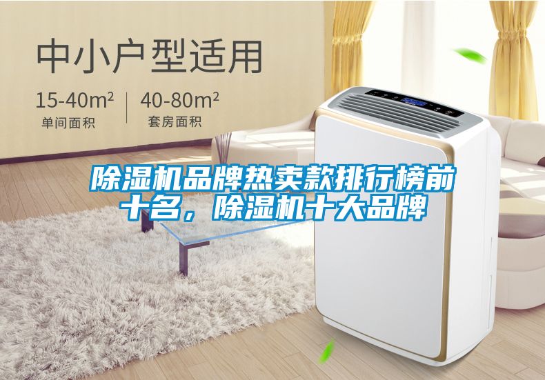 除濕機品牌熱賣款排行榜前十名，除濕機十大品牌