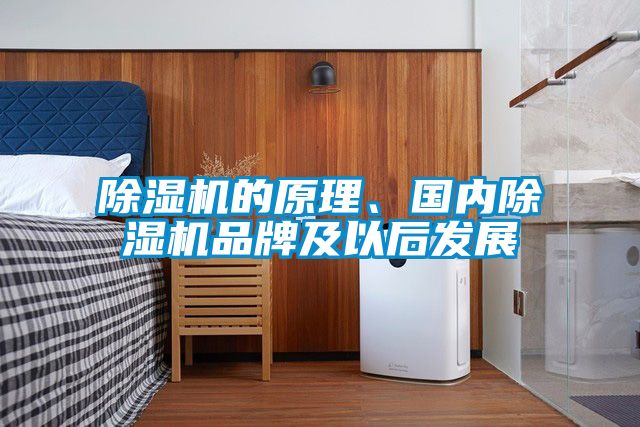 除濕機的原理、國內(nèi)除濕機品牌及以后發(fā)展