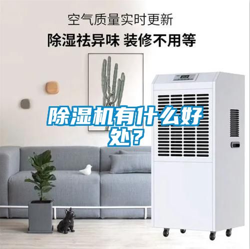 除濕機有什么好處？