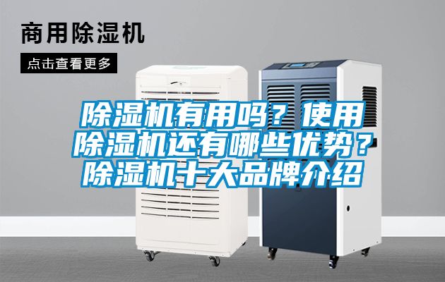 除濕機(jī)有用嗎？使用除濕機(jī)還有哪些優(yōu)勢(shì)？除濕機(jī)十大品牌介紹