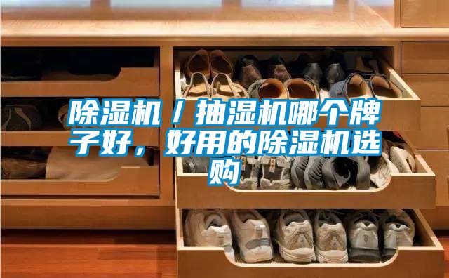 除濕機／抽濕機哪個牌子好，好用的除濕機選購