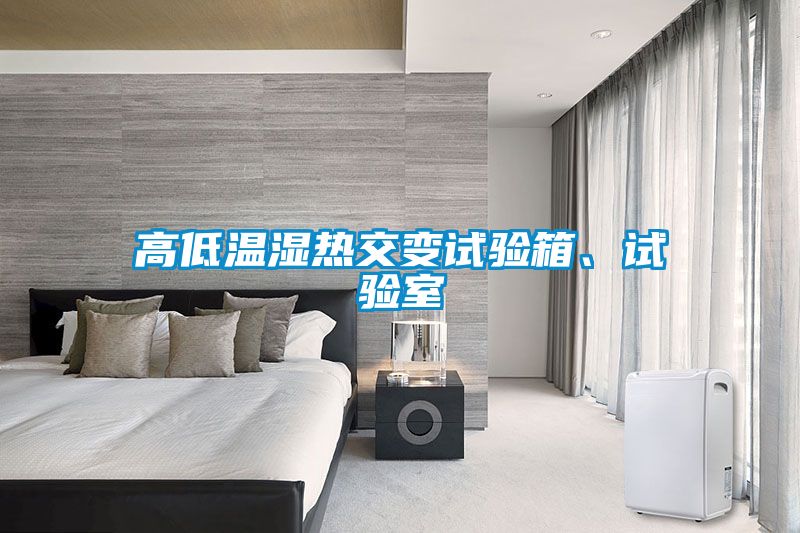 高低溫濕熱交變試驗箱、試驗室
