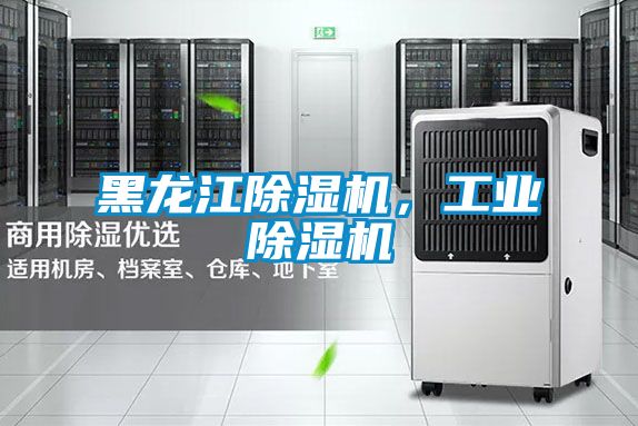 黑龍江除濕機，工業(yè)除濕機