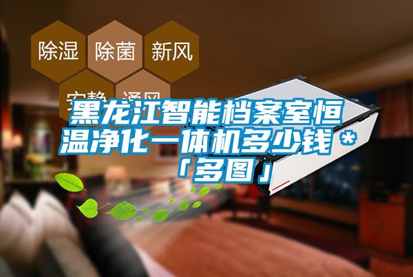 黑龍江智能檔案室恒溫凈化一體機(jī)多少錢(qián)＊「多圖」