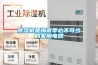 除濕機(jī)是梅雨季必不可少的家用電器
