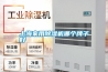 上海家用除濕機(jī)哪個牌子好