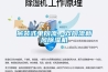 吊裝式單向流、雙向流新風(fēng)除濕機(jī)