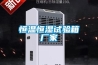 恒溫恒濕試驗(yàn)箱廠家