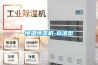 恒溫恒濕機-標(biāo)準(zhǔn)型