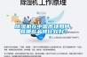 除濕機(jī)在中國市場如何，有哪些品牌比較好？